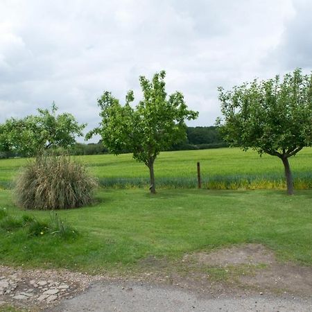 Woodview B Colchester Birch Exteriör bild