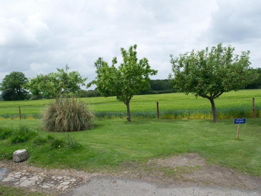 Woodview B Colchester Birch Exteriör bild