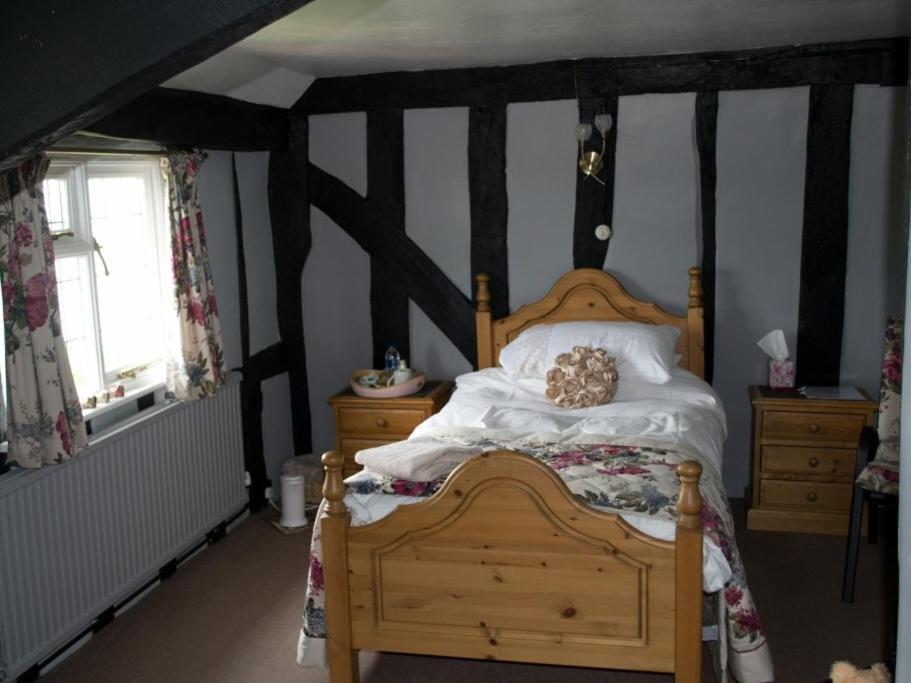 Woodview B Colchester Birch Rum bild